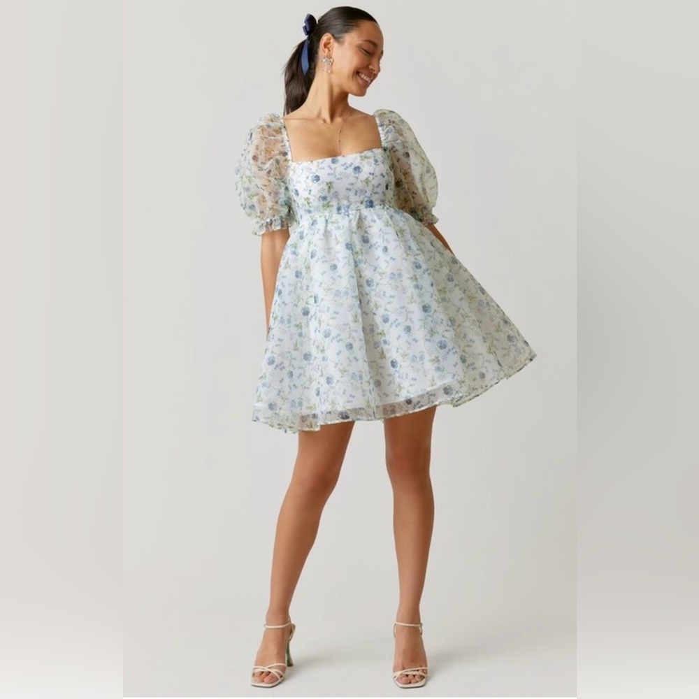 NWT Audrey Parks x Francesca’s Asha Floral Chiffon Babydoll Mini Dress Size S